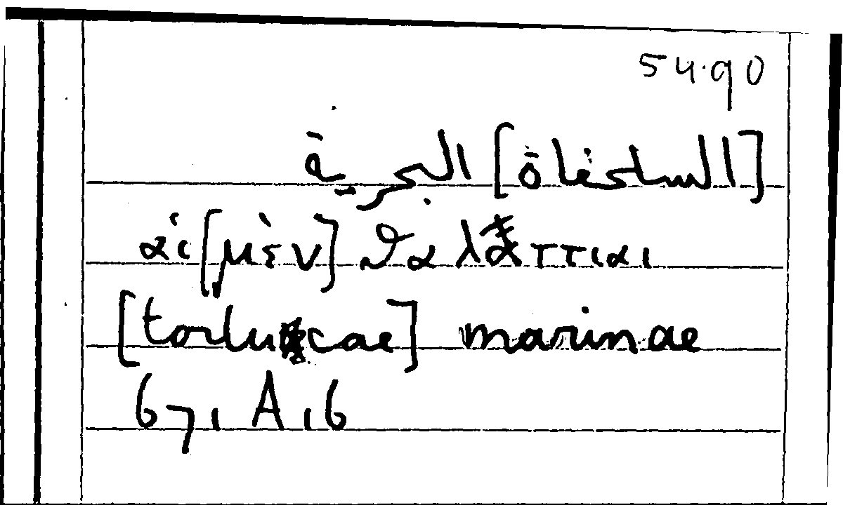 Filecard Arist.Part-anim.20729