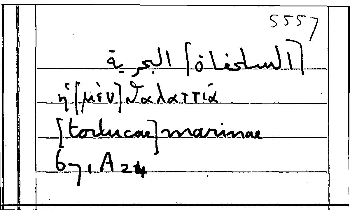 Filecard Arist.Part-anim.20735