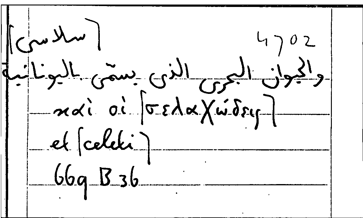 Filecard Arist.Part-anim.20737