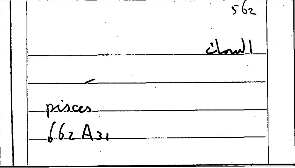 Filecard Arist.Part-anim.20768