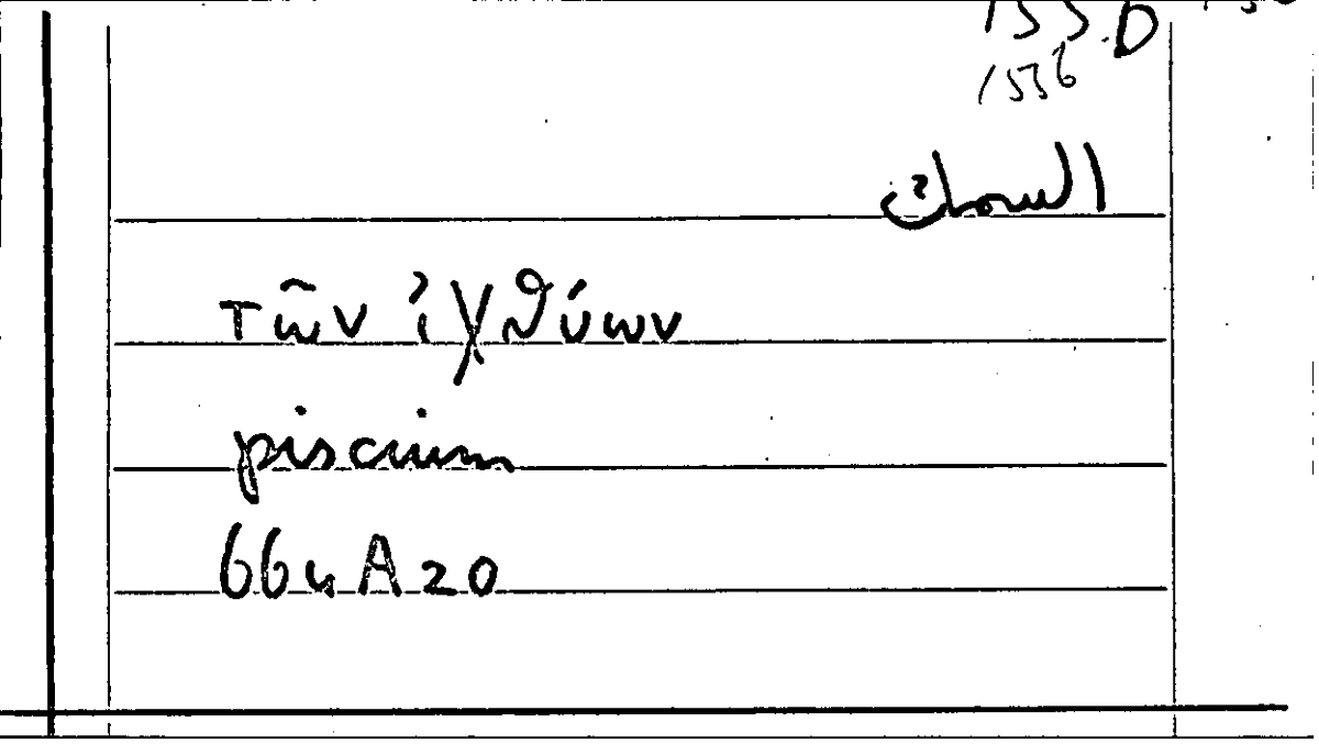 Filecard Arist.Part-anim.20769