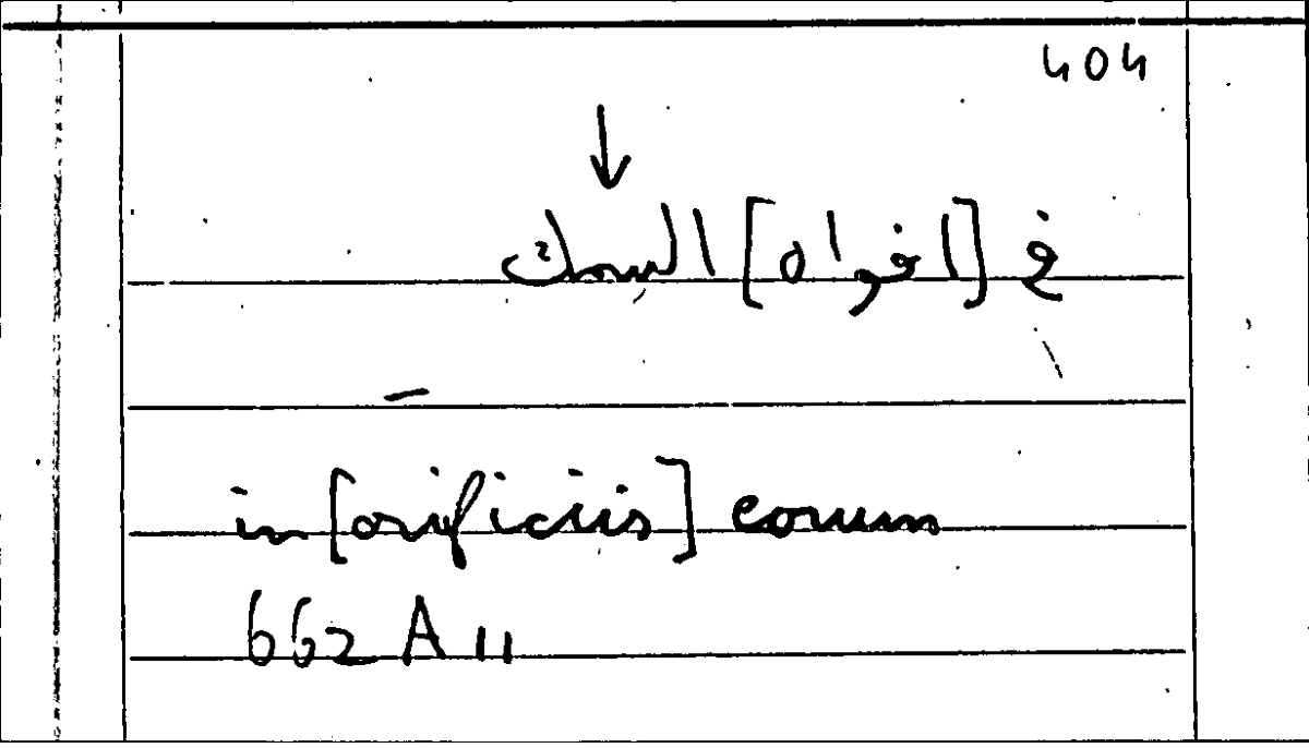 Filecard Arist.Part-anim.20771