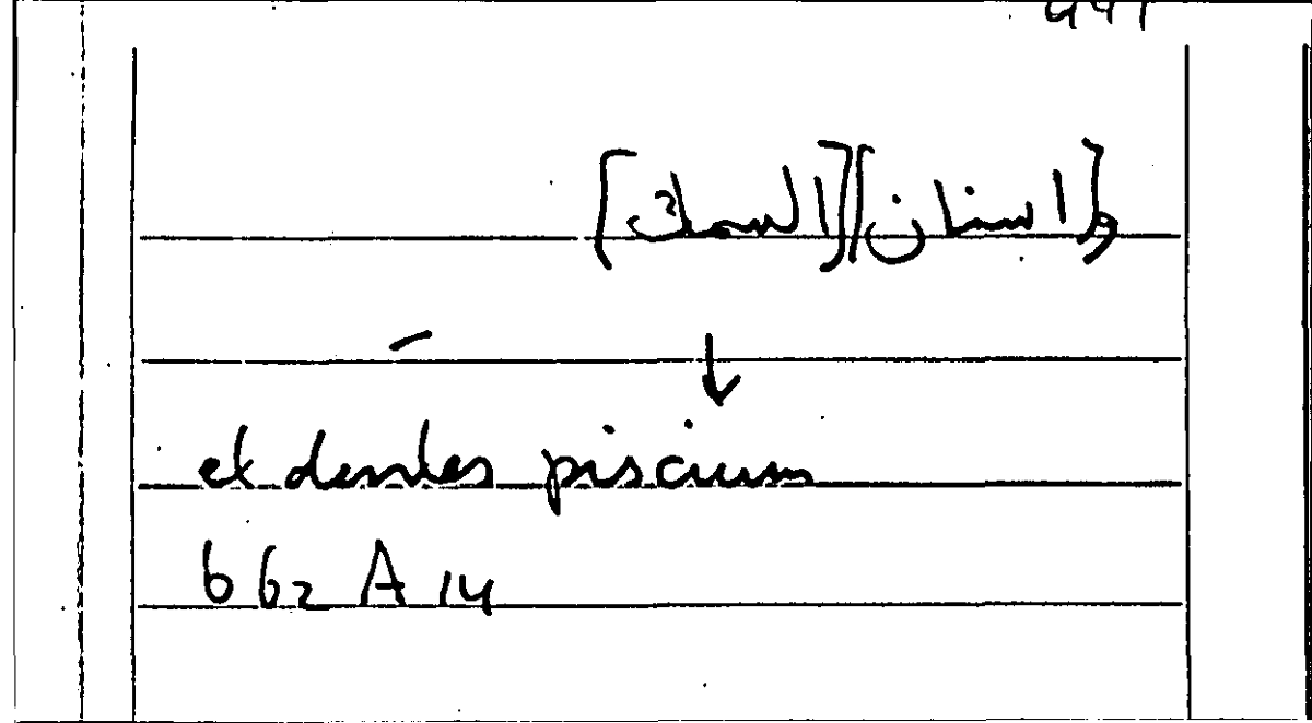 Filecard Arist.Part-anim.20772
