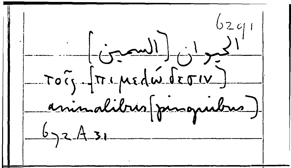 Filecard Arist.Part-anim.20791