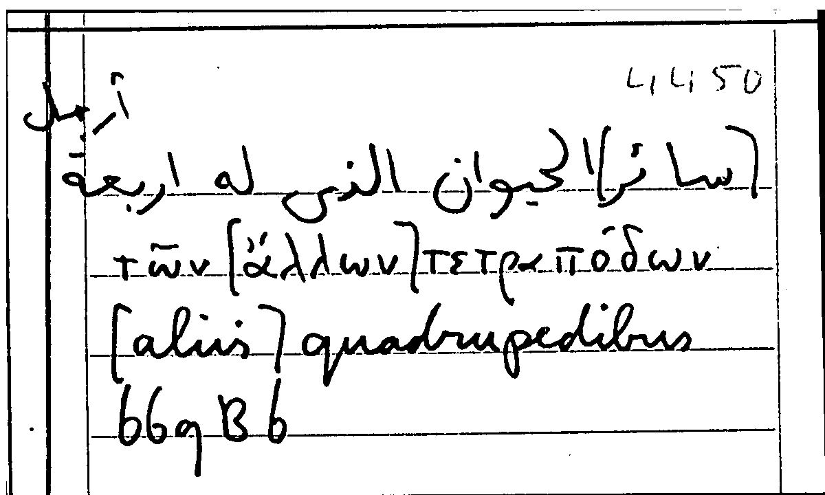 Filecard Arist.Part-anim.20906