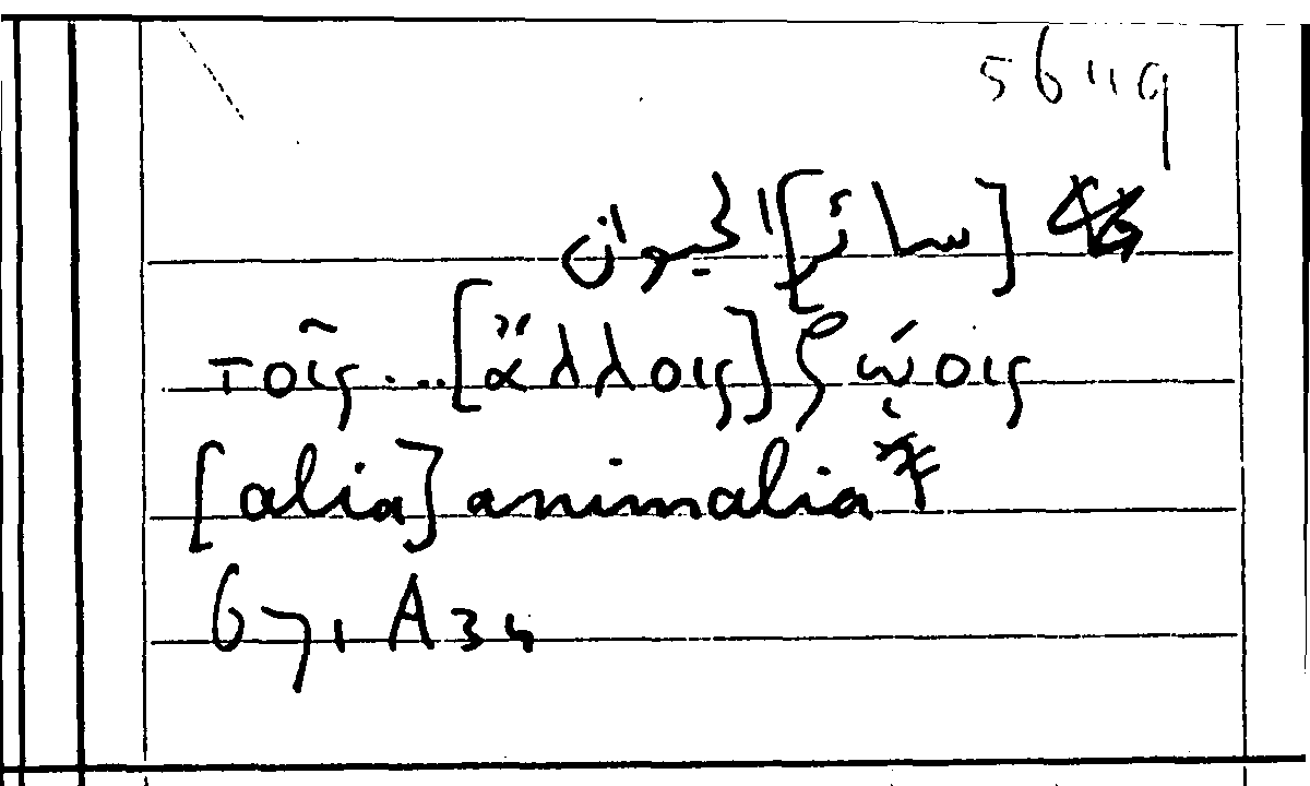 Filecard Arist.Part-anim.20908