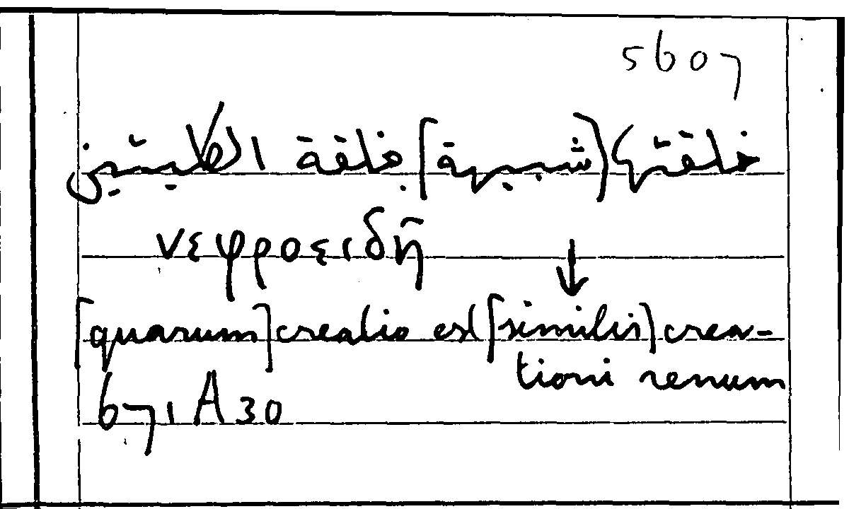 Filecard Arist.Part-anim.20963