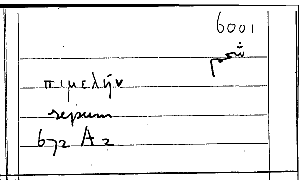Filecard Arist.Part-anim.20971