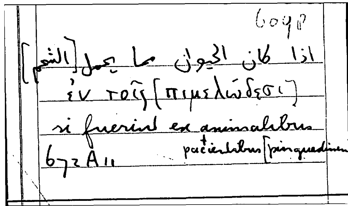 Filecard Arist.Part-anim.20975