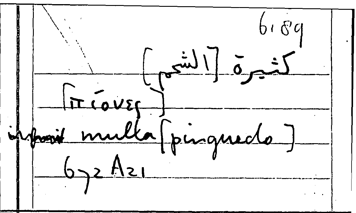 Filecard Arist.Part-anim.20981