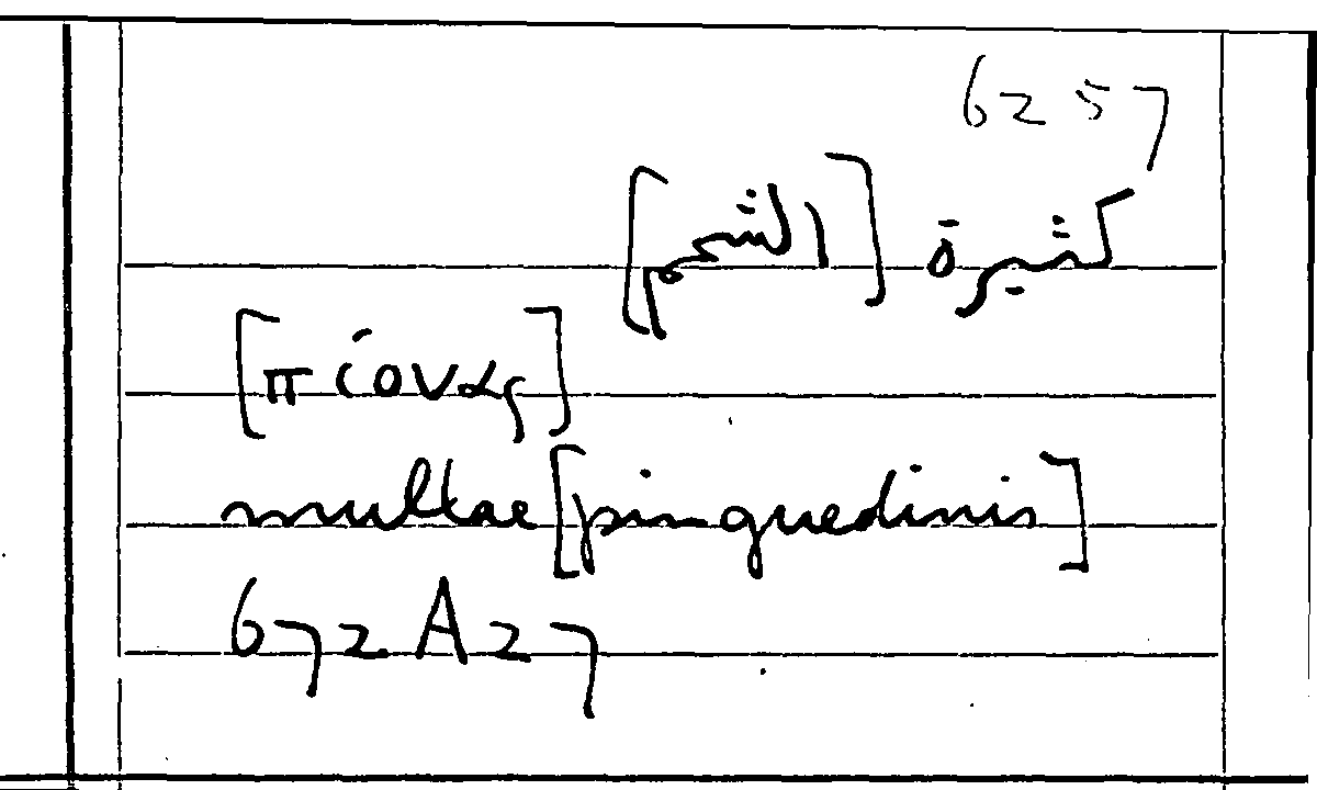 Filecard Arist.Part-anim.20986