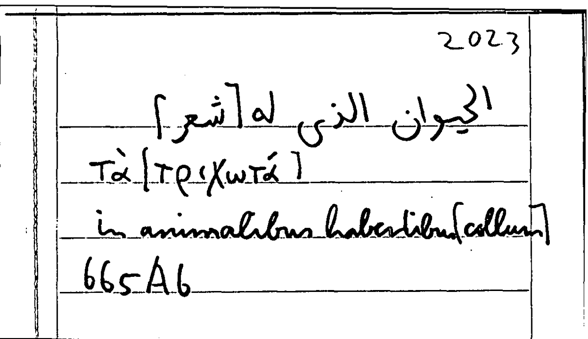 Filecard Arist.Part-anim.21037