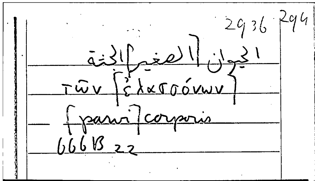 Filecard Arist.Part-anim.21127