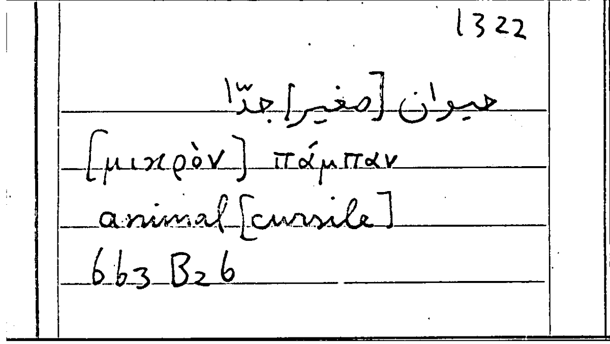 Filecard Arist.Part-anim.21129