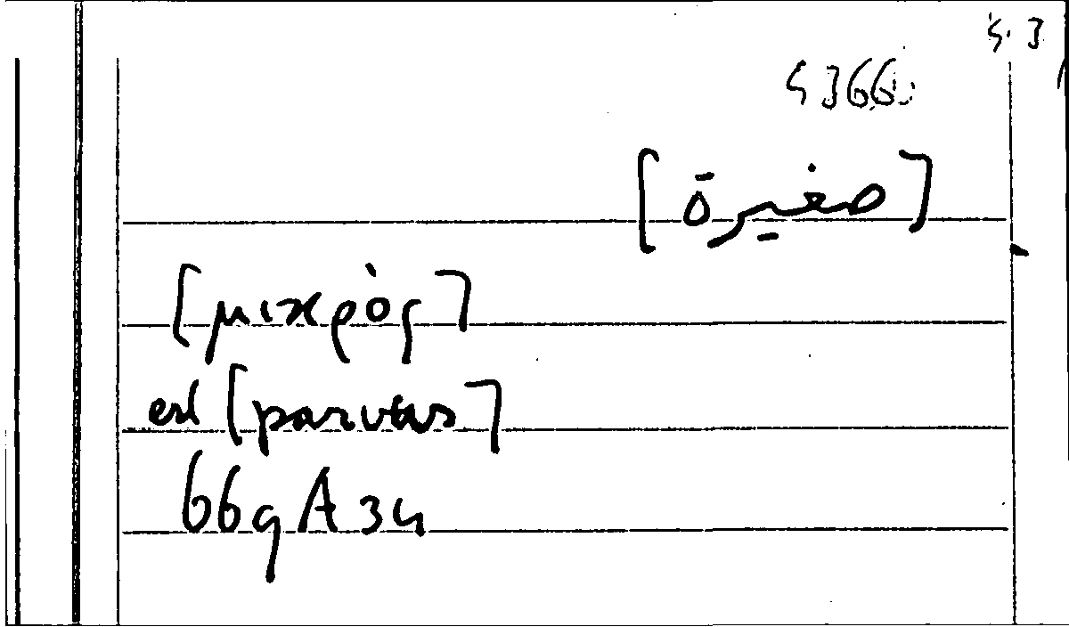 Filecard Arist.Part-anim.21143