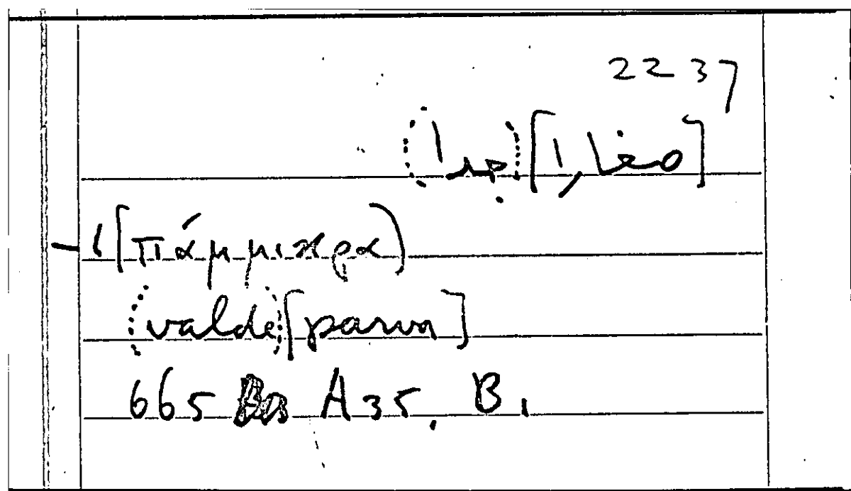 Filecard Arist.Part-anim.21148