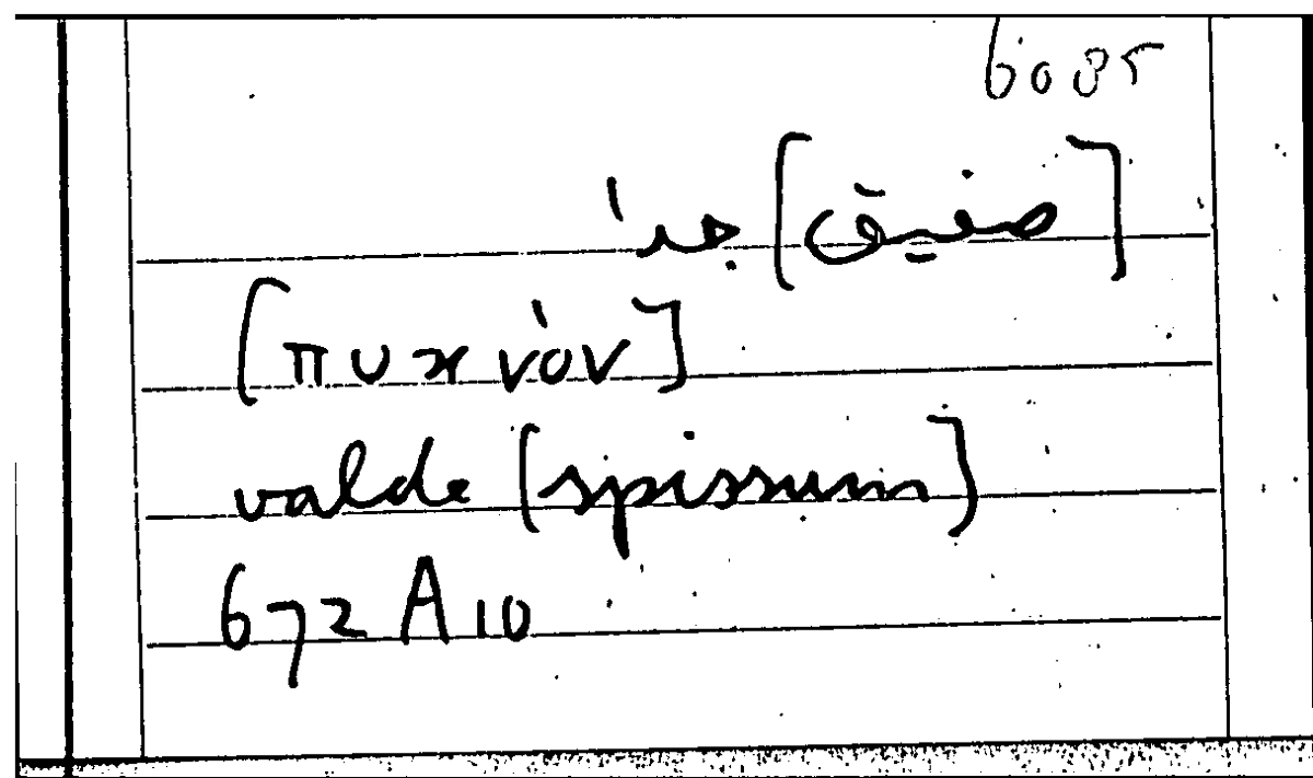 Filecard Arist.Part-anim.21165