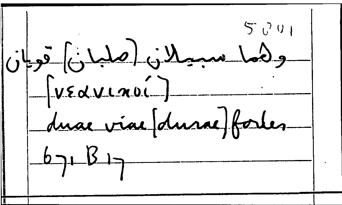Filecard Arist.Part-anim.21185