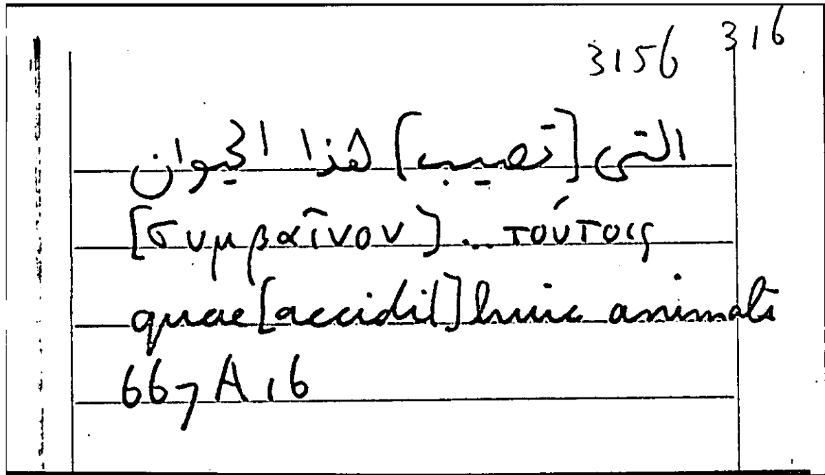 Filecard Arist.Part-anim.21219