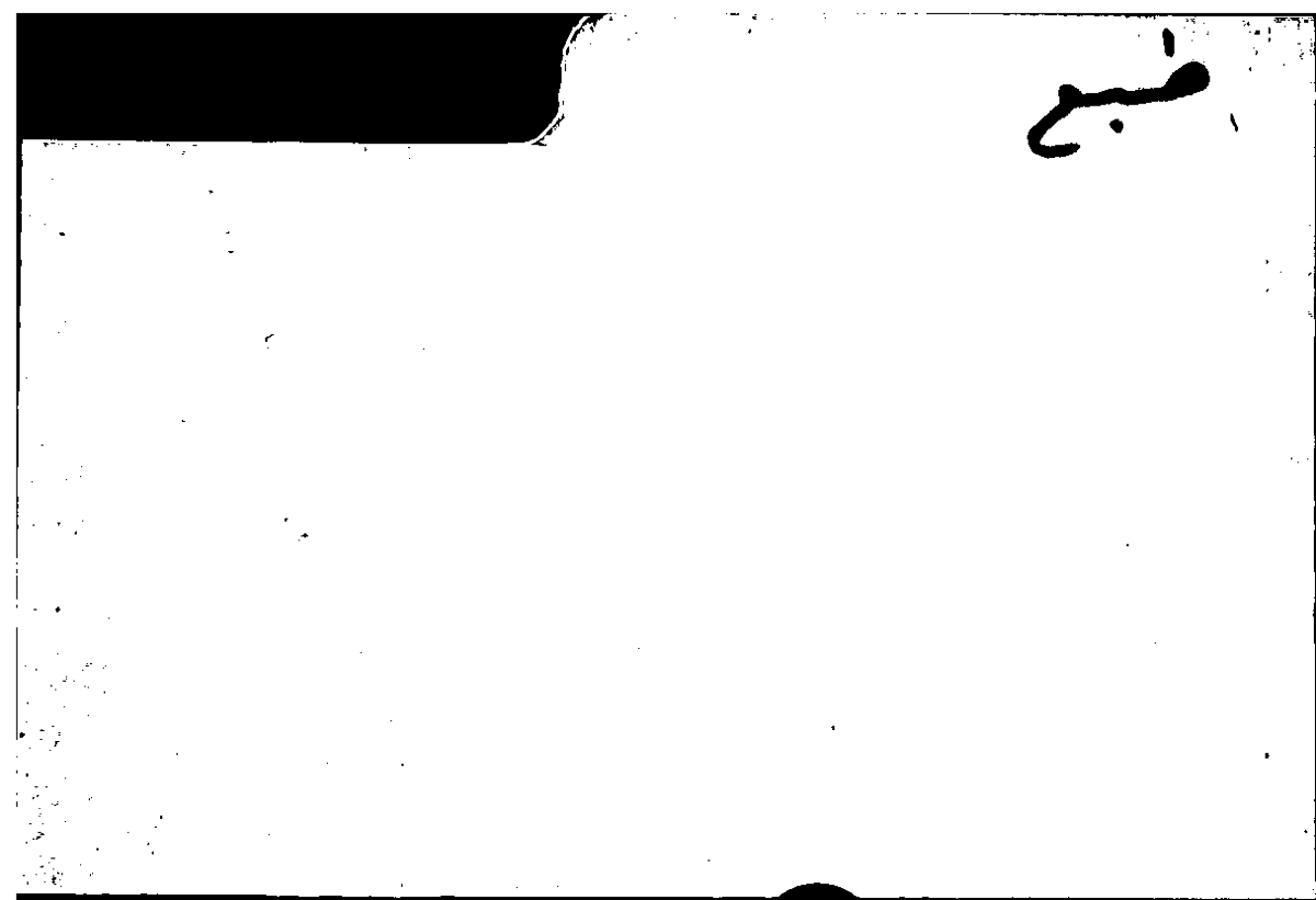 Filecard Arist.Part-anim.21411