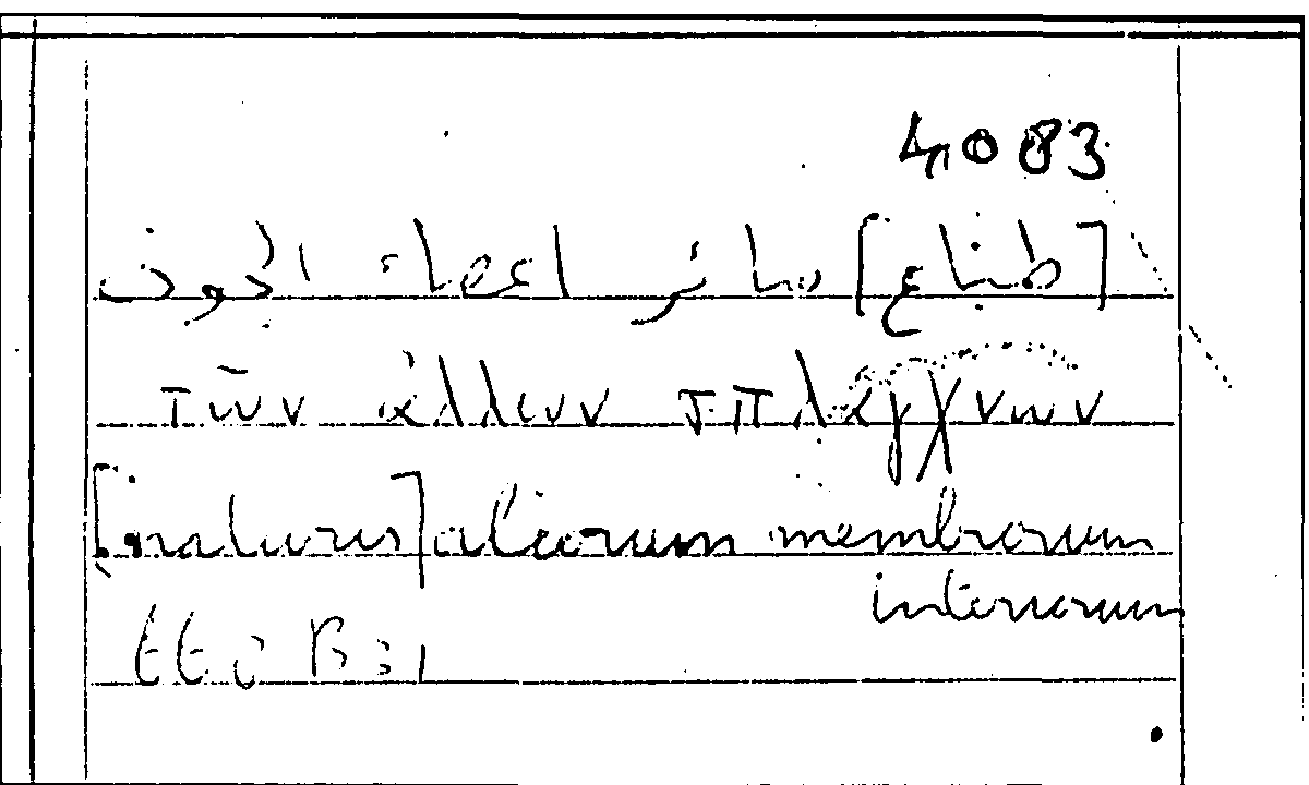 Filecard Arist.Part-anim.21442