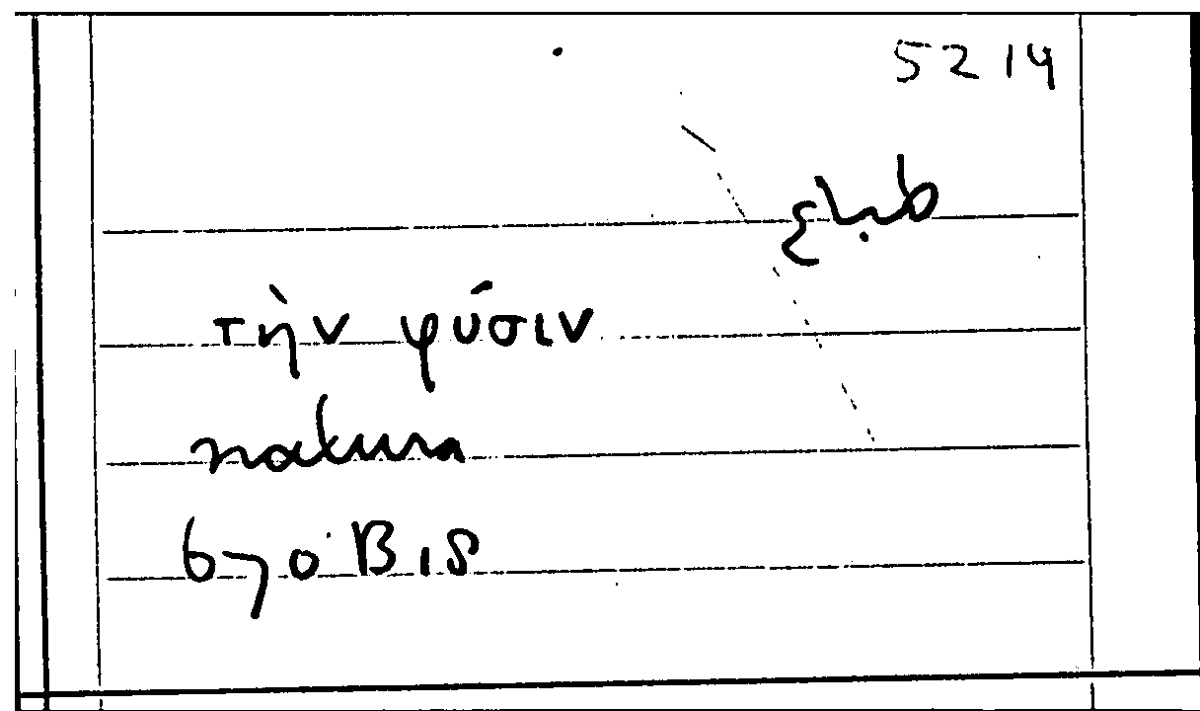 Filecard Arist.Part-anim.21449
