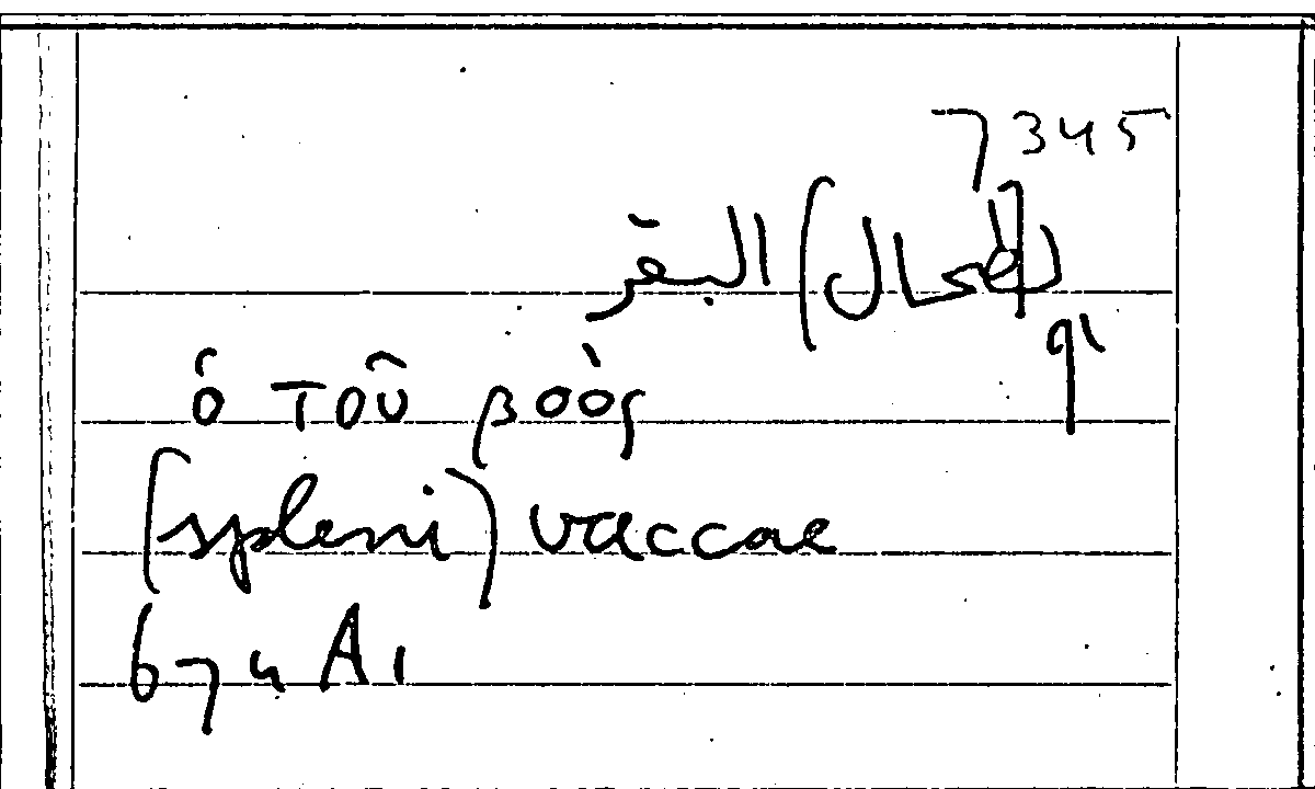 Filecard Arist.Part-anim.21483