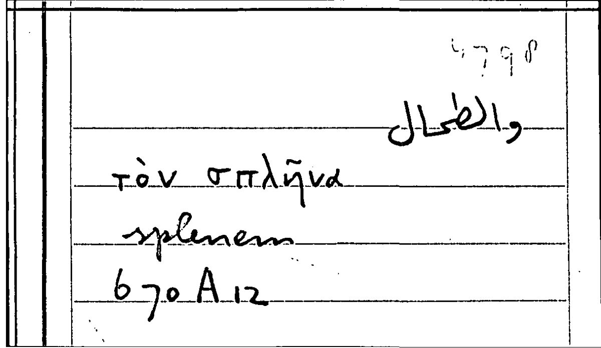 Filecard Arist.Part-anim.21486