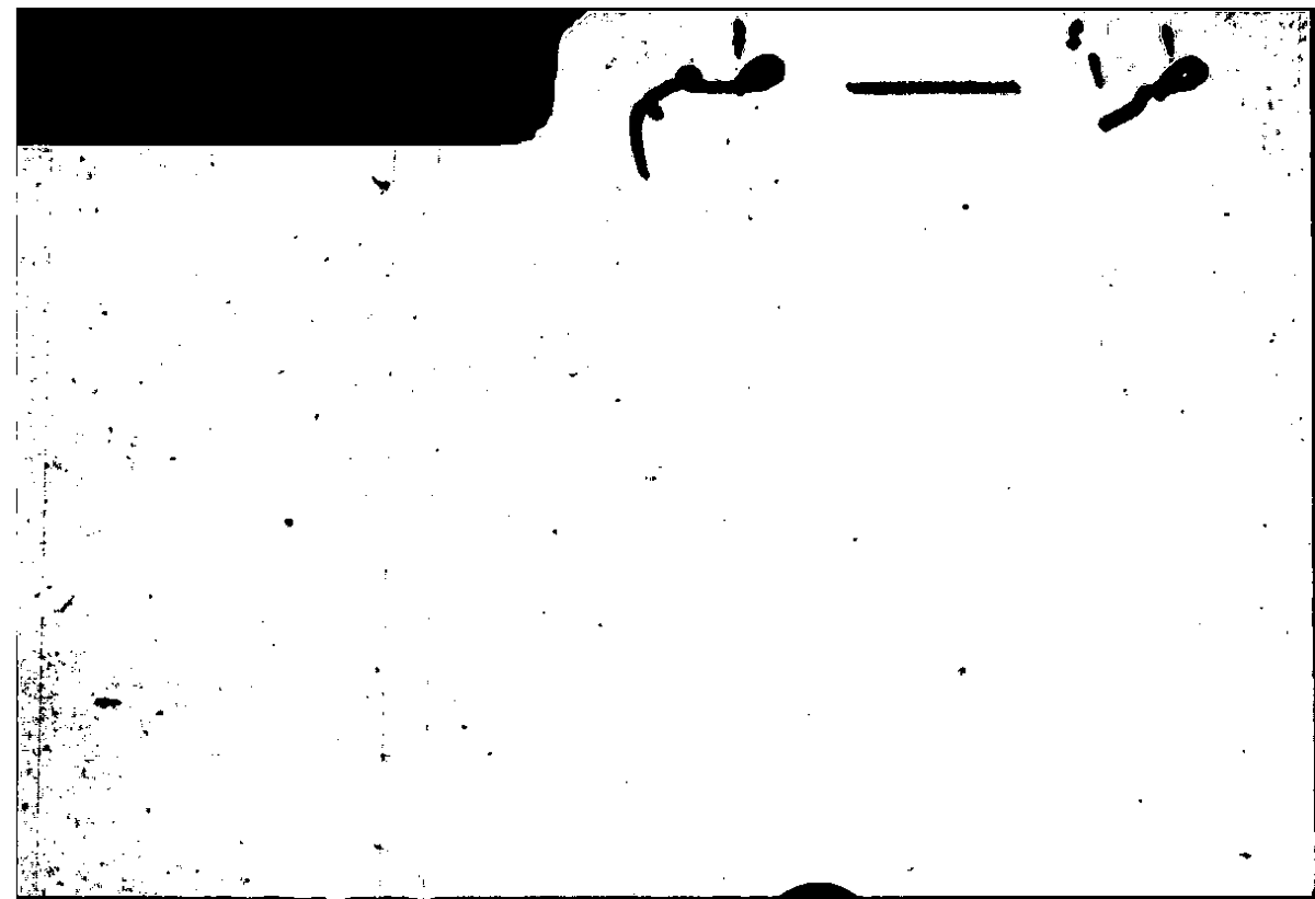 Filecard Arist.Part-anim.21514