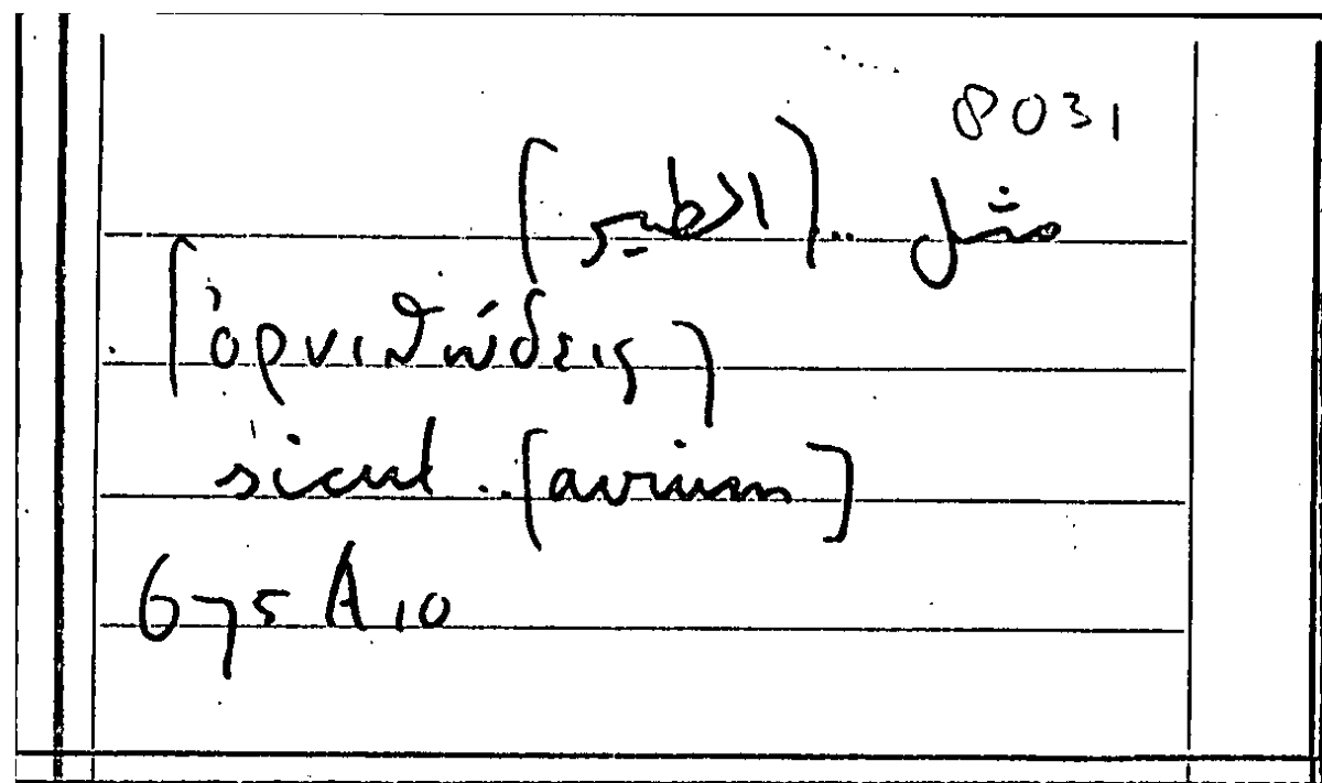 Filecard Arist.Part-anim.21611