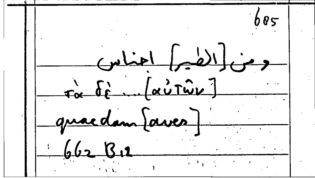 Filecard Arist.Part-anim.21616