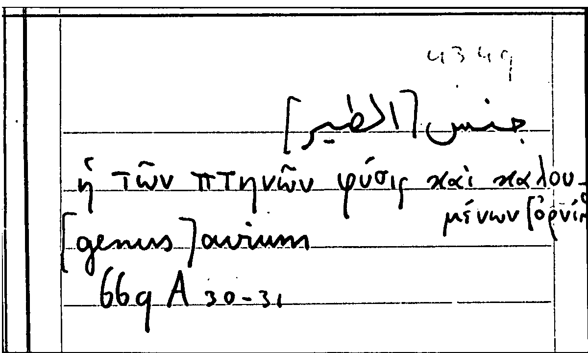 Filecard Arist.Part-anim.21619