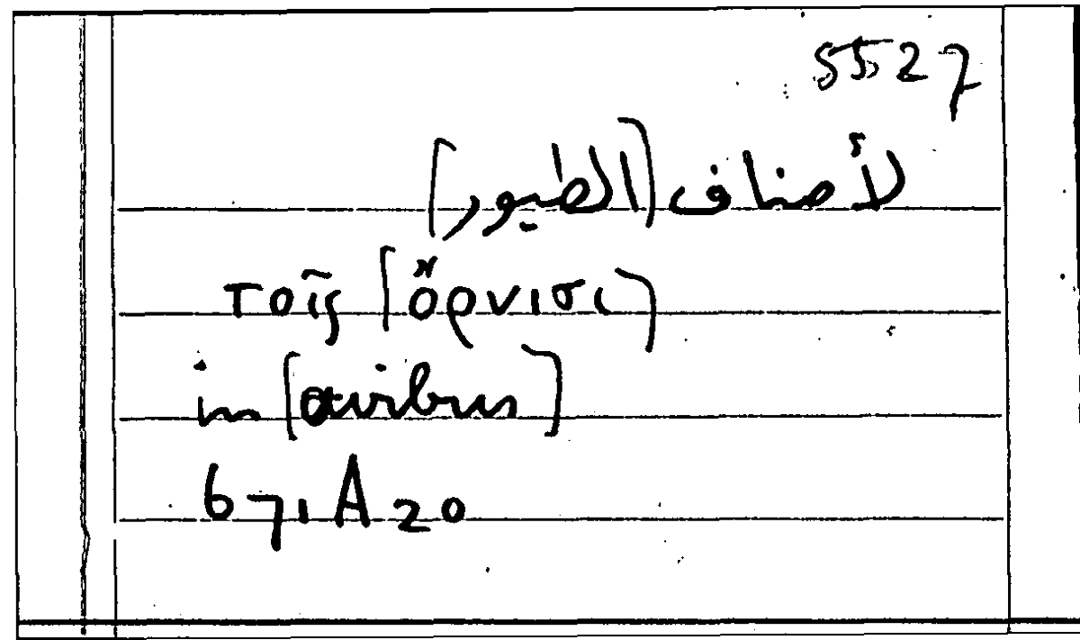 Filecard Arist.Part-anim.21624
