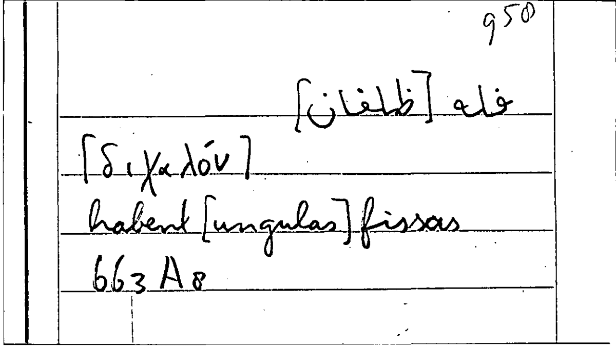 Filecard Arist.Part-anim.21630