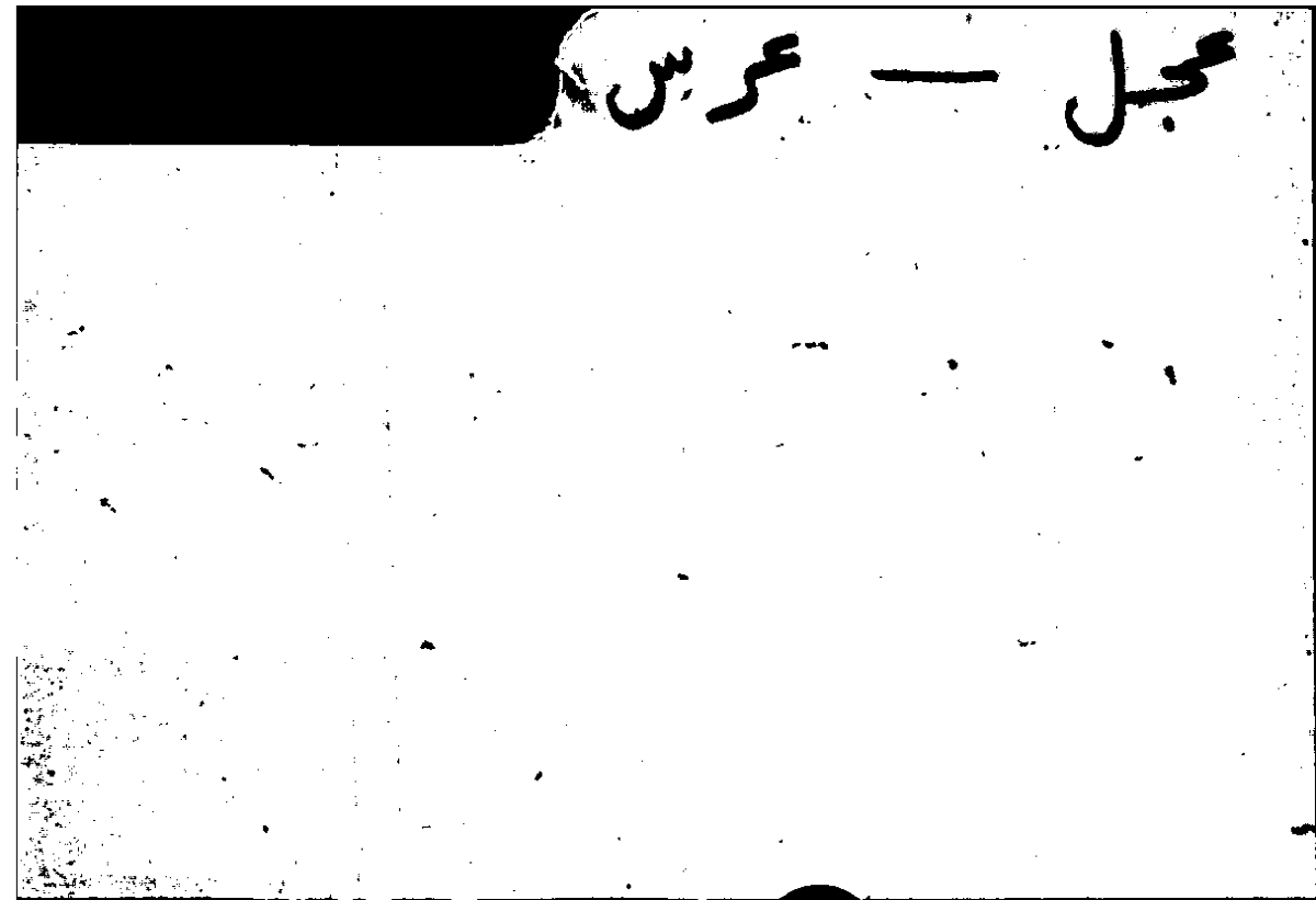 Filecard Arist.Part-anim.21672
