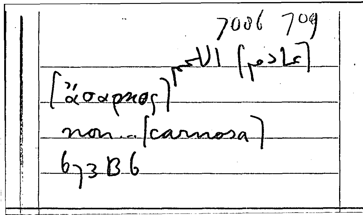 Filecard Arist.Part-anim.21693
