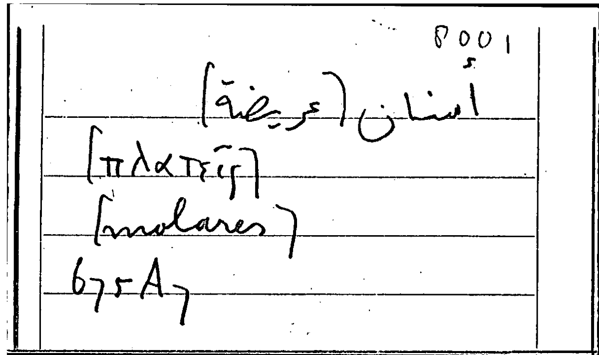 Filecard Arist.Part-anim.21742