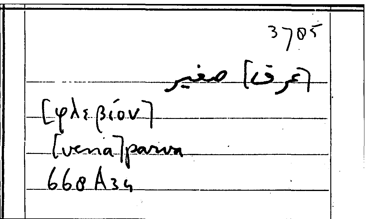 Filecard Arist.Part-anim.21781