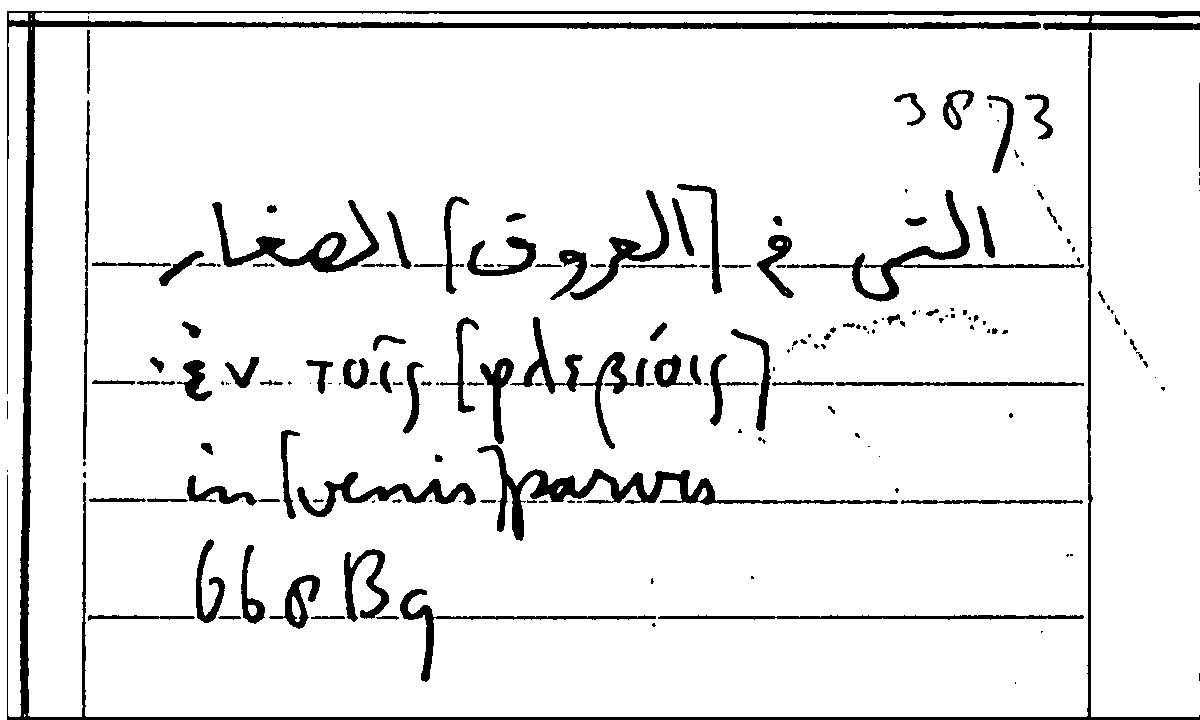 Filecard Arist.Part-anim.21830