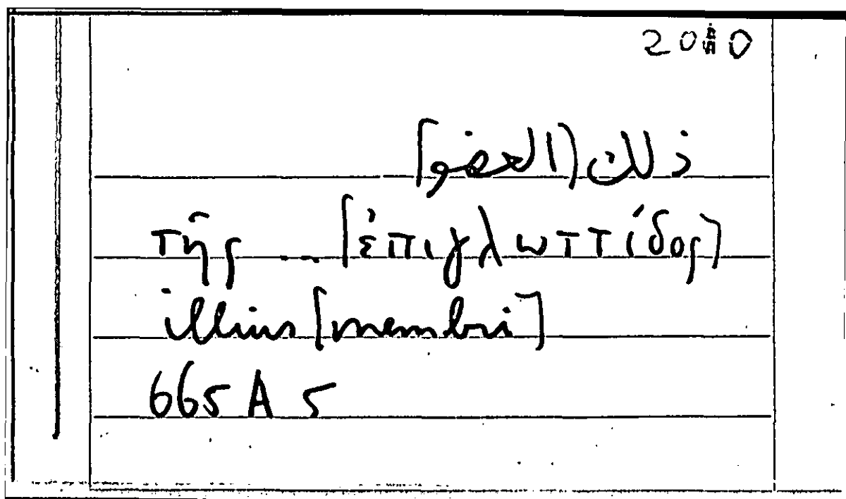 Filecard Arist.Part-anim.21869