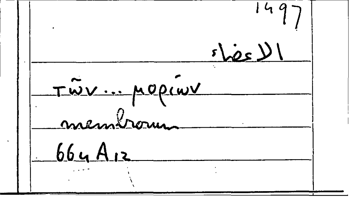 Filecard Arist.Part-anim.21905