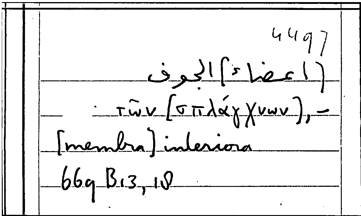 Filecard Arist.Part-anim.21922
