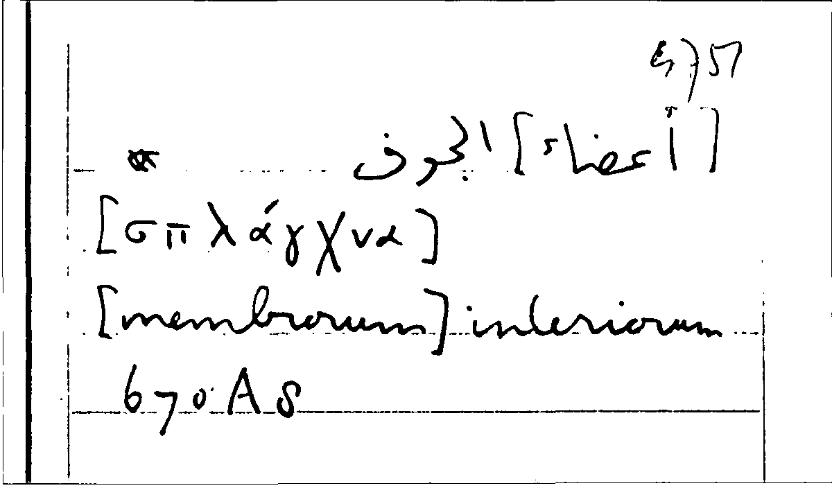 Filecard Arist.Part-anim.21925