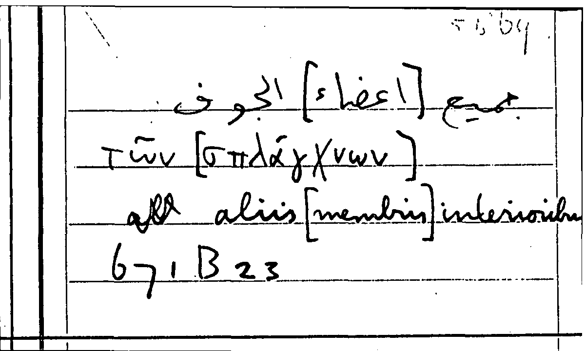 Filecard Arist.Part-anim.21932