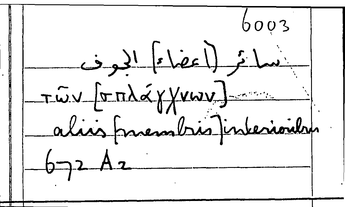 Filecard Arist.Part-anim.21934