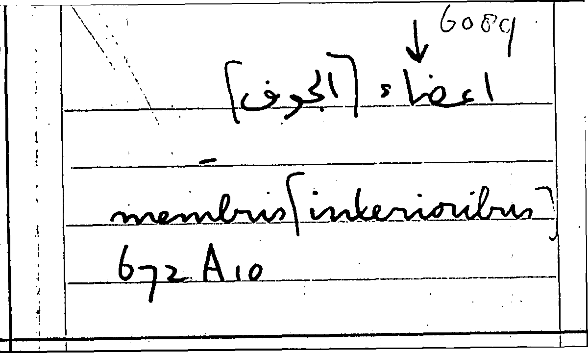 Filecard Arist.Part-anim.21937