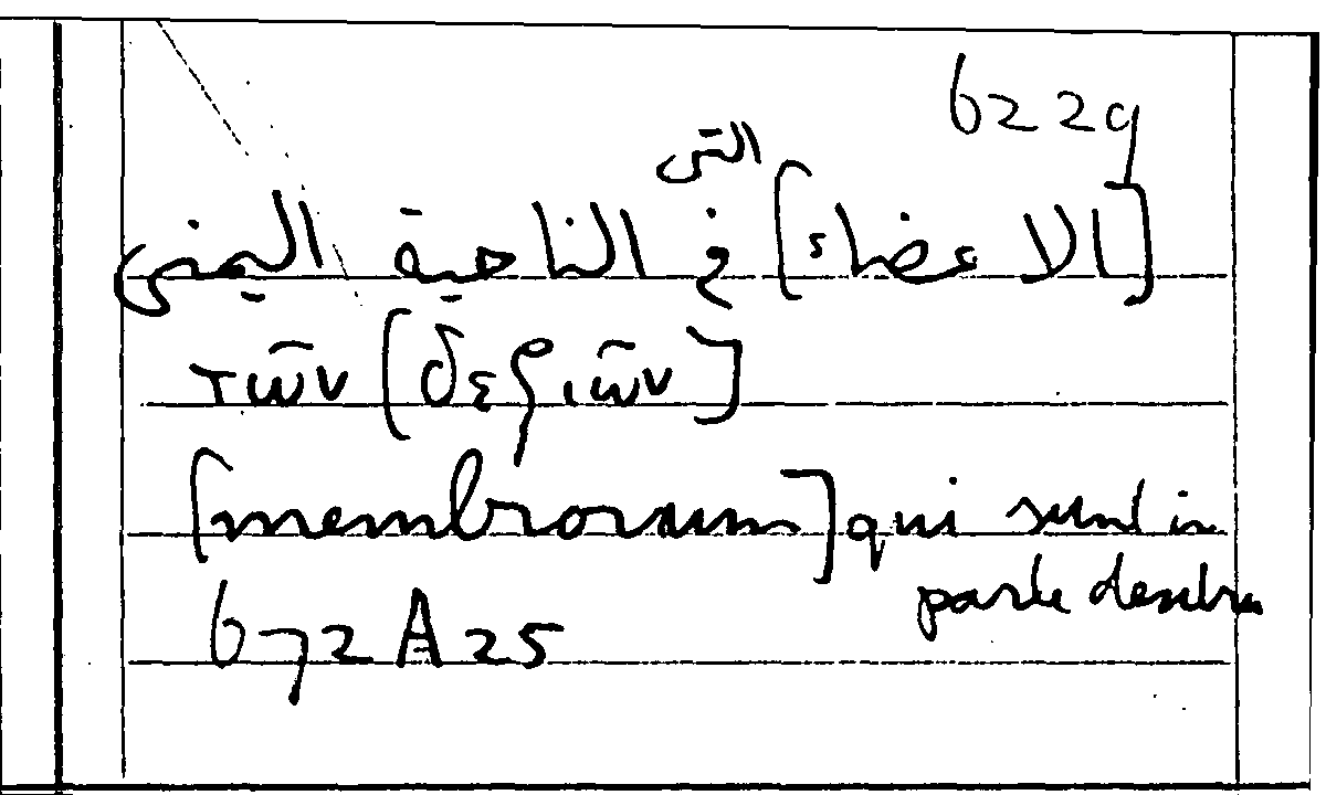 Filecard Arist.Part-anim.21938