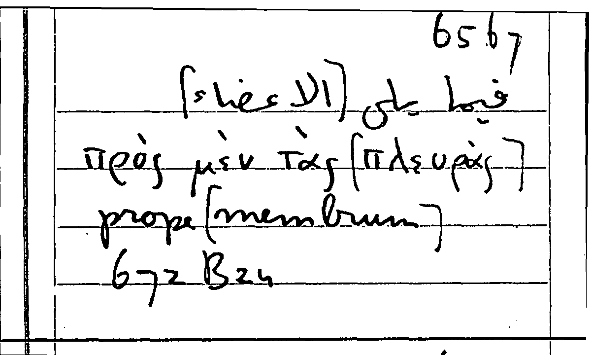 Filecard Arist.Part-anim.21943