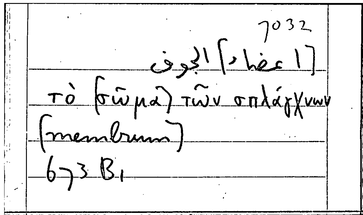 Filecard Arist.Part-anim.21946