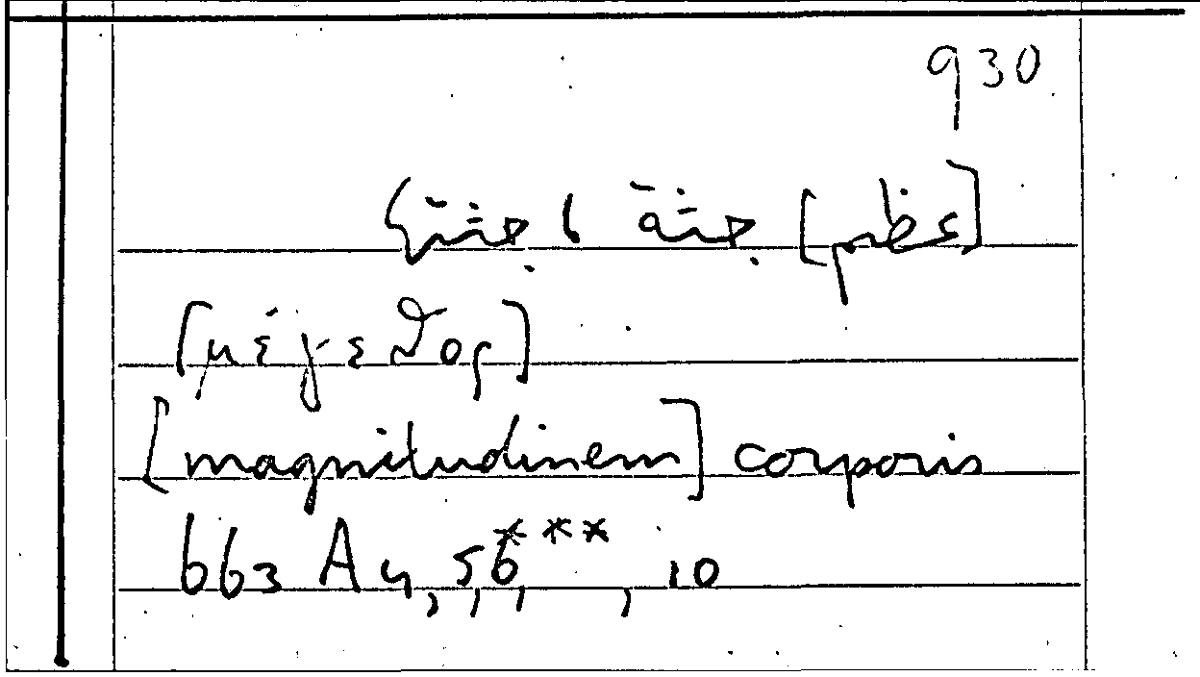 Filecard Arist.Part-anim.21981